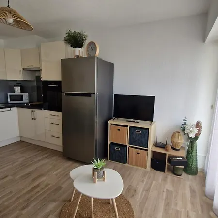 Apartment Les Goelettes Avec Terrasse - Clim - Wifi - Parking - Piscine - Front De *