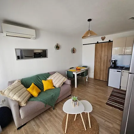 Les Goelettes Avec Terrasse - Clim - Wifi - Parking - Piscine - Front De *